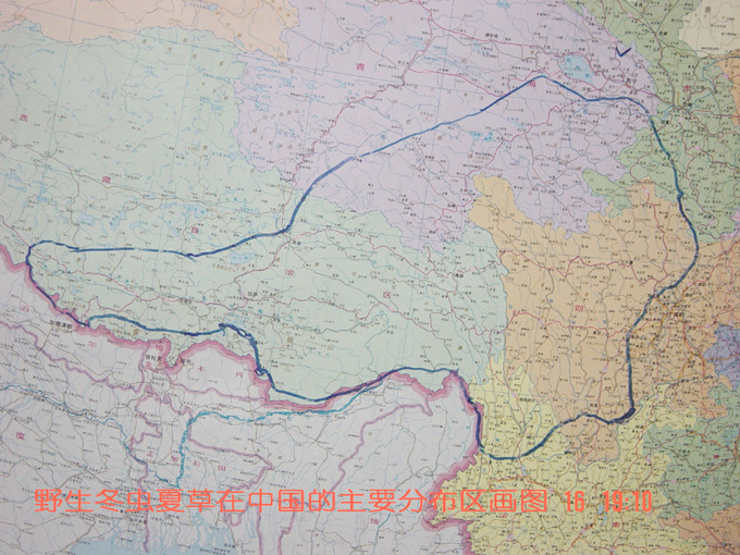 ���x�Ĳݷֲ�����,���x�Ĳݷֲ��ط�,�x�ݷֲ����c,���x�Ĳݵķֲ�λ��,�x�ݷֲ��ĵط�