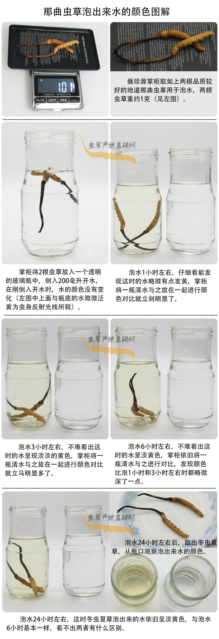 ���x�Ĳ��ݳ���ˮ���ɫ�����x�Ĳ��ݳ�����ˮ��ʲô�ɫ�����x�Ĳ���ˮ���ɫ��׃�����������x�����^ˮ��ˮ׃��ʲô�ɫ