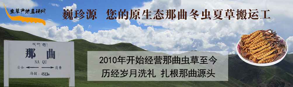 ���x(ch��ng)�Ĳ�,��B���������x(ch��ng)�������r�x(ch��ng)�ݺ��������r���x(ch��ng)�Ĳ�,���l(f��)�����x(ch��ng)�Ĳ݃r(ji��)��